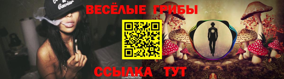 Клин  Псилоцибиновые грибы Psilocybe  Вход с VPN 