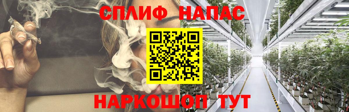 Бошки Шишки индика Клин